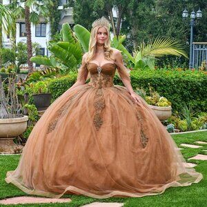 New Off The Shoulder Quinceanera Mesh Gown w/ Glitter & Jewel Embroidery GL3502